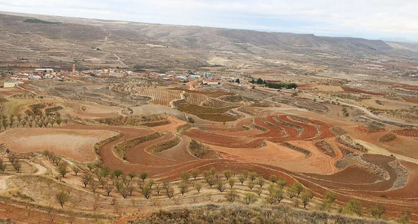 Bodegas San Alejandro