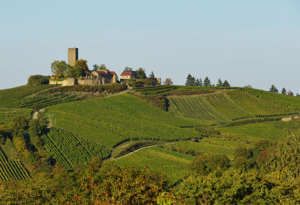 Burg Ravensburg