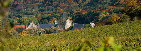 Kloster Pforta