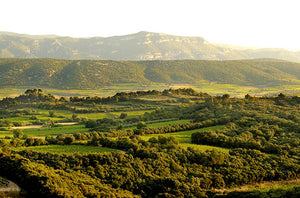 Mas de Daumas Gassac