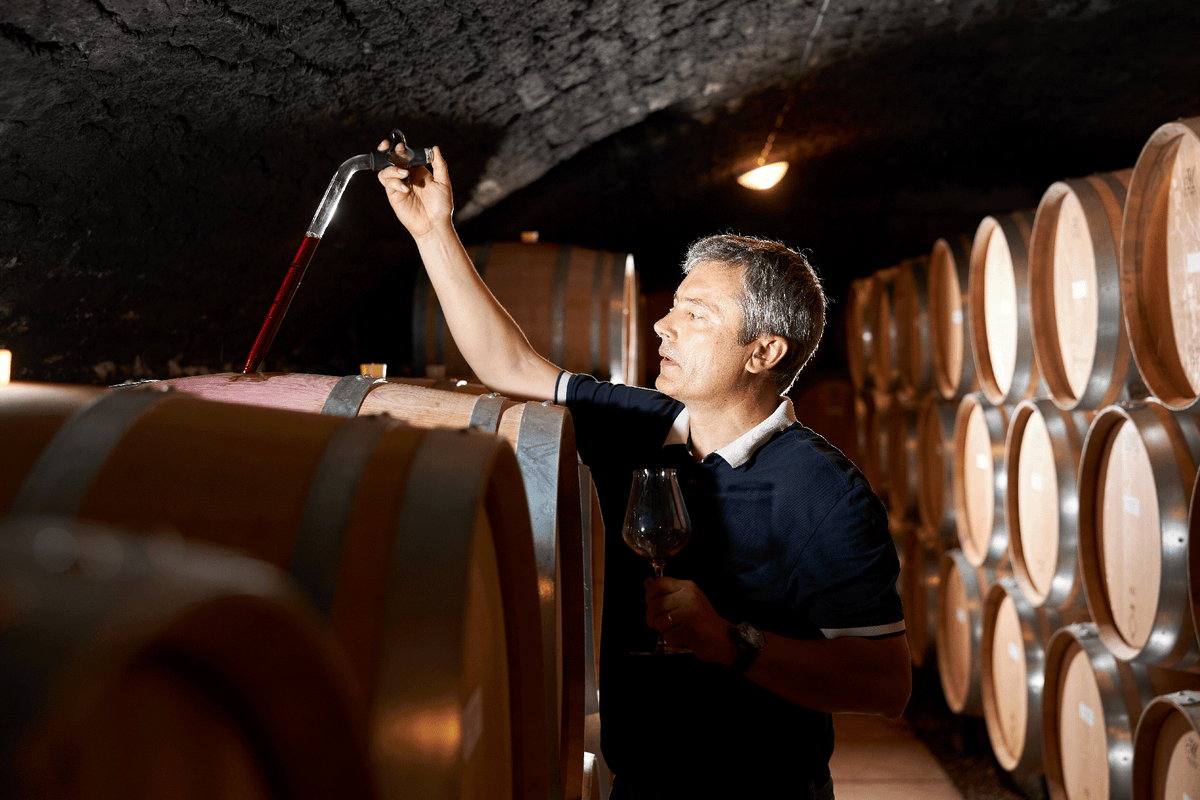 Domaine Taupenot-Merme