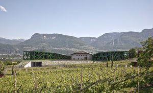 Cantina Tramin