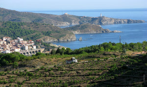 Domaine de la Rectorie