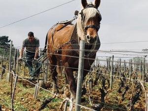 Domaine La Soufrandière