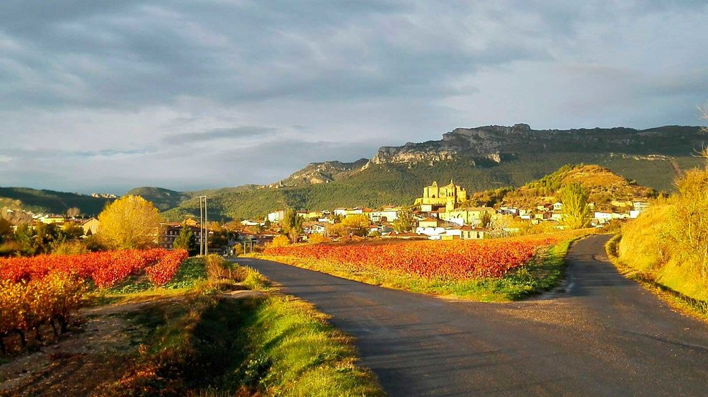 Finca de la Rica