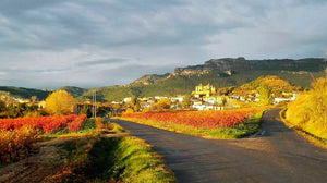 Finca de la Rica