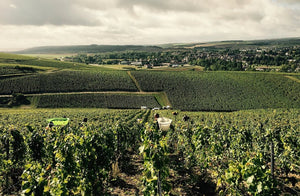 Domaine de l'Enclos