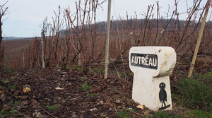 Champagne Autréau