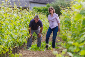 Domaine Béatrice & Pascal Lambert