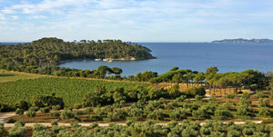 Château Léoube