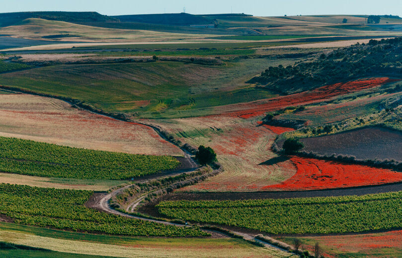 Monteabellón