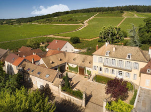 Domaine Taupenot-Merme