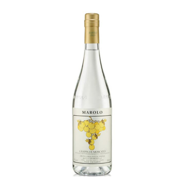 Grappa di Moscato